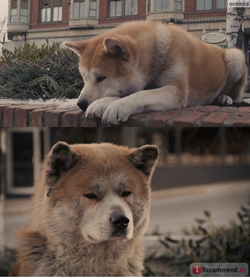 5a0ef751be7ee_9ystmEEYUzhUlY7aFpHw6g.jpg