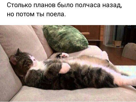 57cdcf18cee7f_.jpg