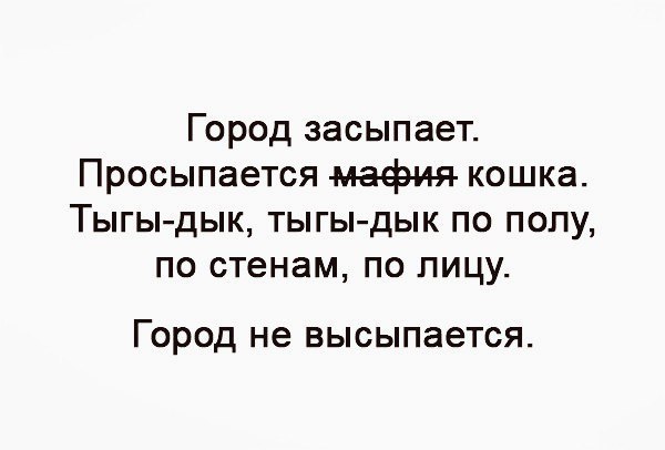 587f059f95509_k.jpg